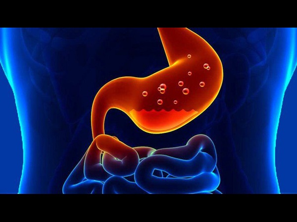 Dịch vị và chất nhầy trong dạ dày