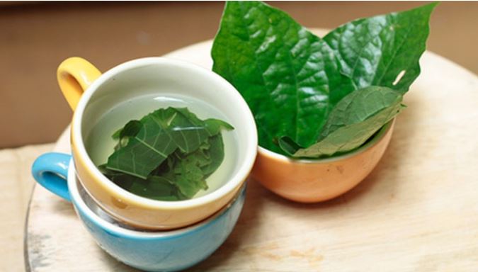 Chữa mồ hôi tay bằng lá lốt