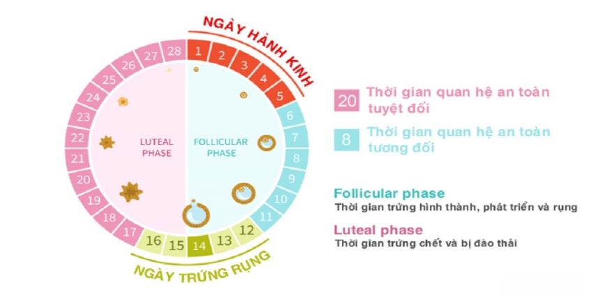 Tính ngày quan hệ an toàn
