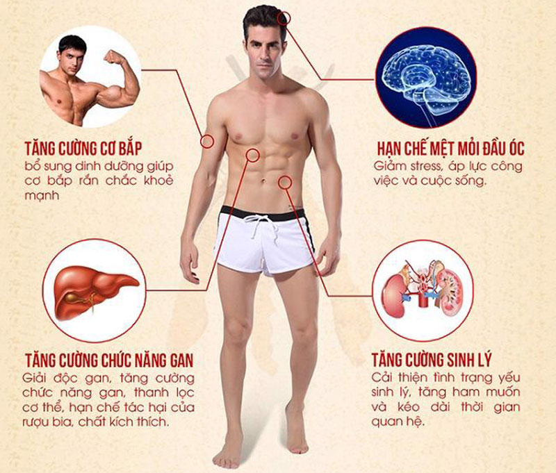 Nấm Đông Trùng Hạ Thảo là gì? Cách dùng, tác dụng, giá bán ra sao? - Vật lý trị liệu