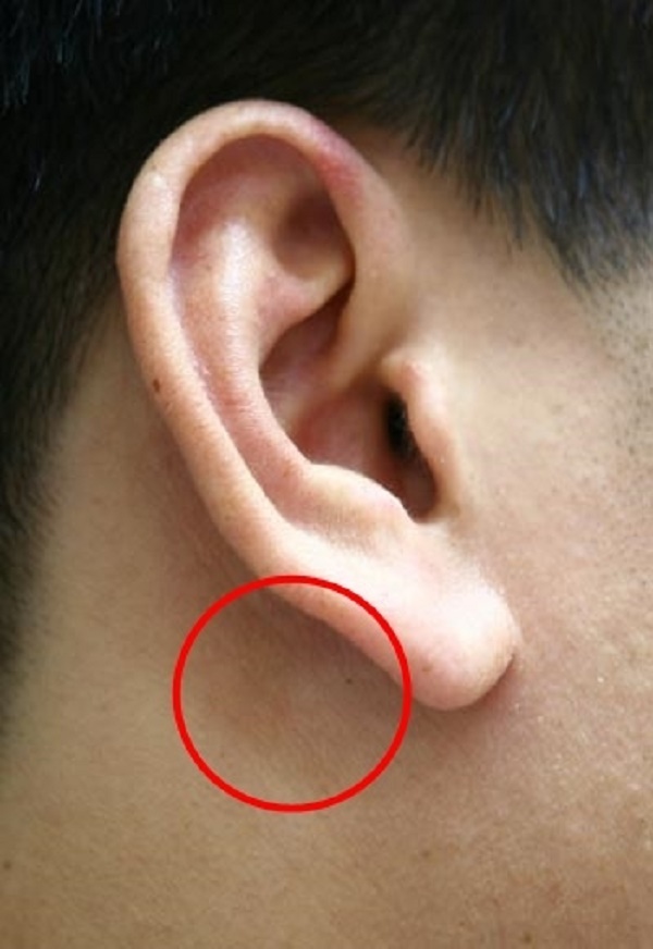 Huyệt Dương Minh và thực hư về huyệt "Trinh Tiết" của nam giới - Vật lý trị liệu