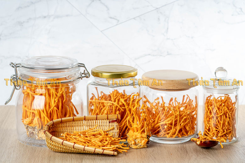 Đông trùng hạ thảo khô