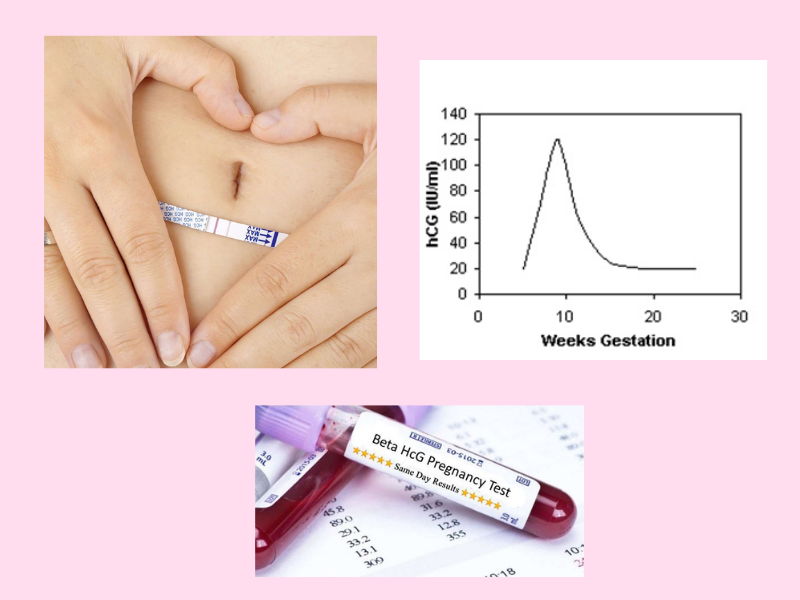 [A-Z] Que thử thai mà bạn nữ nào cũng cần phải biết. - Vật lý trị liệu