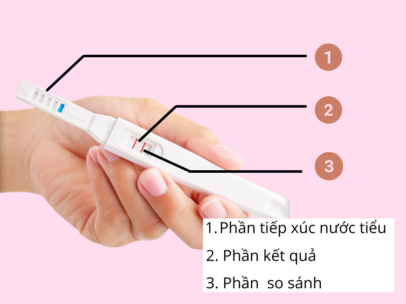 [A-Z] Que thử thai mà bạn nữ nào cũng cần phải biết. - Vật lý trị liệu