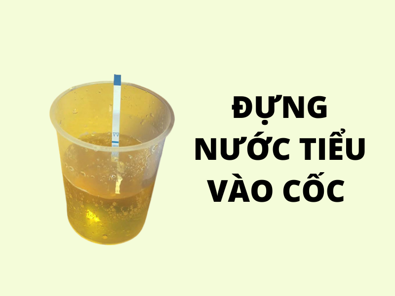 [A-Z] Que thử thai mà bạn nữ nào cũng cần phải biết. - Vật lý trị liệu