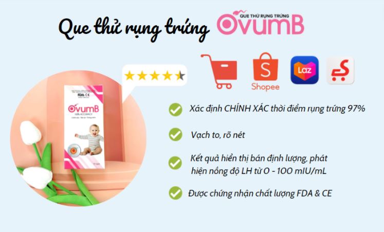 Que thử rụng trứng tốt nhất hiện nay và cách sử dụng! - Vật lý trị liệu