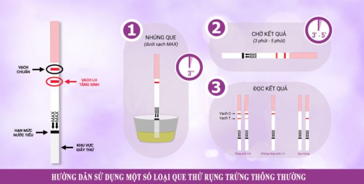 Que thử rụng trứng tốt nhất hiện nay và cách sử dụng! - Vật lý trị liệu