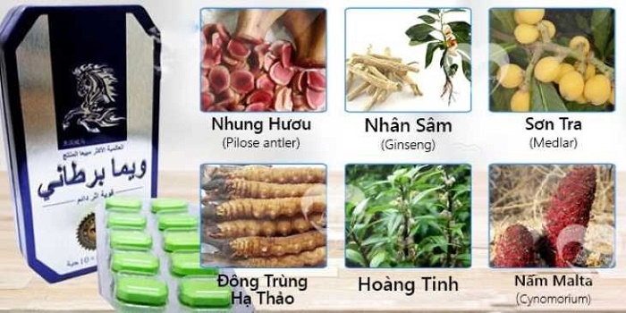 Ngựa Thái có thành phần gì? Tác dụng như thế nào? - Vật lý trị liệu