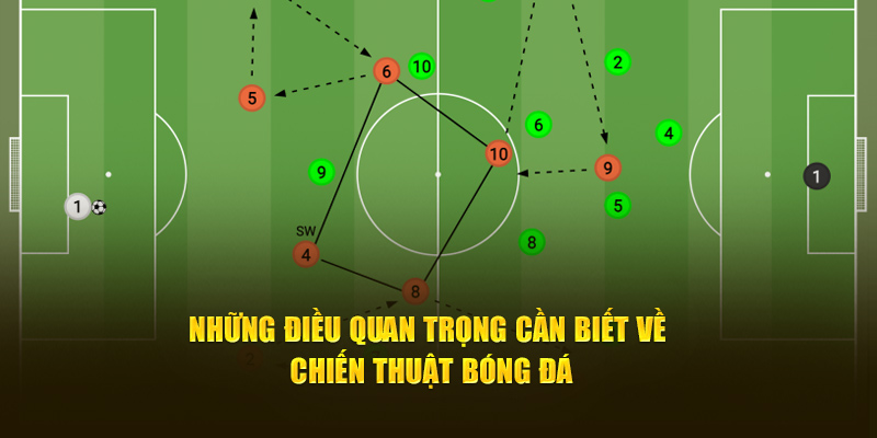 Yếu tố quan trọng trong chiến thuật bóng đá