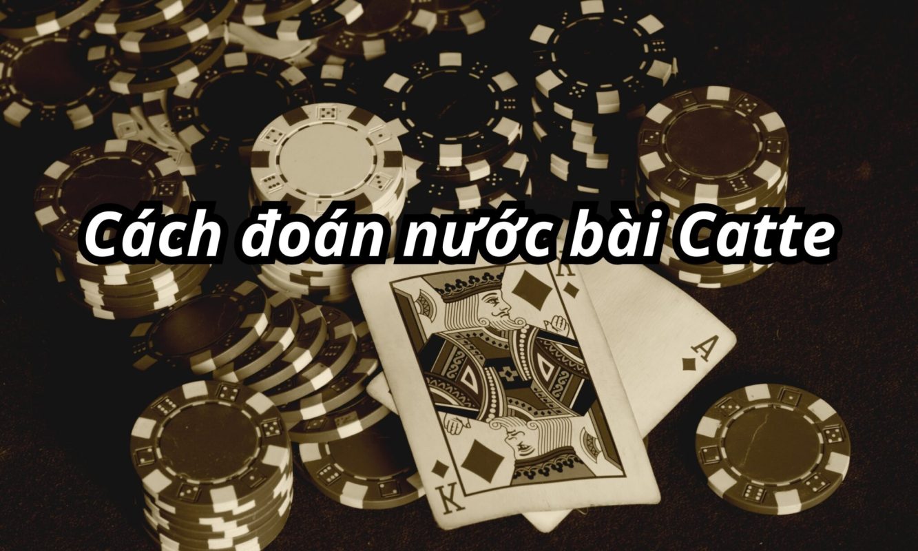 Hướng Dẫn Cách Đoán Nước Bài Catte Chuyên Nghiệp Bạn Nên Biết