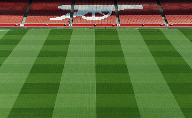 Mặt cỏ Emirates đạt chuẩn thế giới