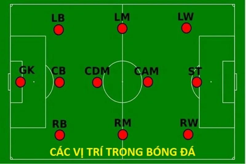 LM Trong Bóng Đá Là Gì? Vai Trò Và Kỹ Năng Của Cầu Thủ LM