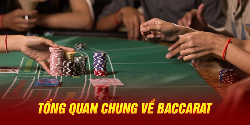 Công thức tính cầu Baccarat chuẩn xác