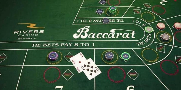 Cách Bắt Cầu Hòa Baccarat Và Bí Quyết Dự Đoán Hiệu Quả - Venisce Store